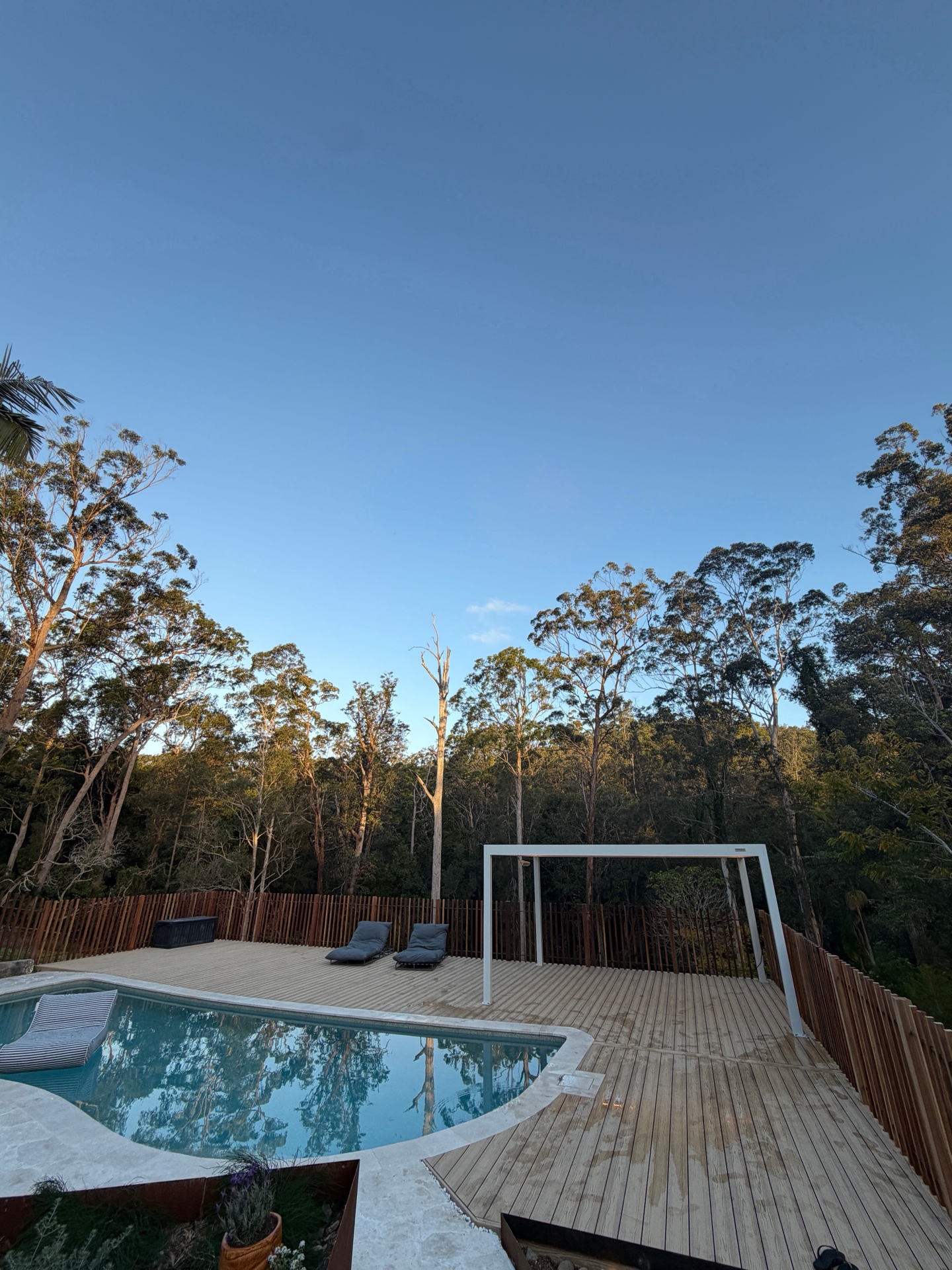 Timber pool deck — freeform pool, outdoor living area and private bushland outlook.